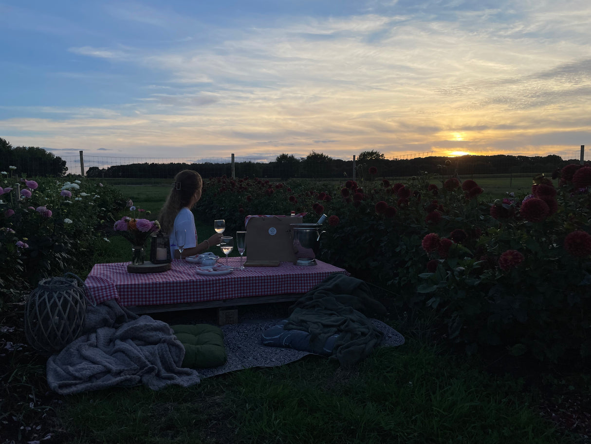 Culinaire picknick in onze bloemenpluktuin met live saxofoon muziek 19/09/2026