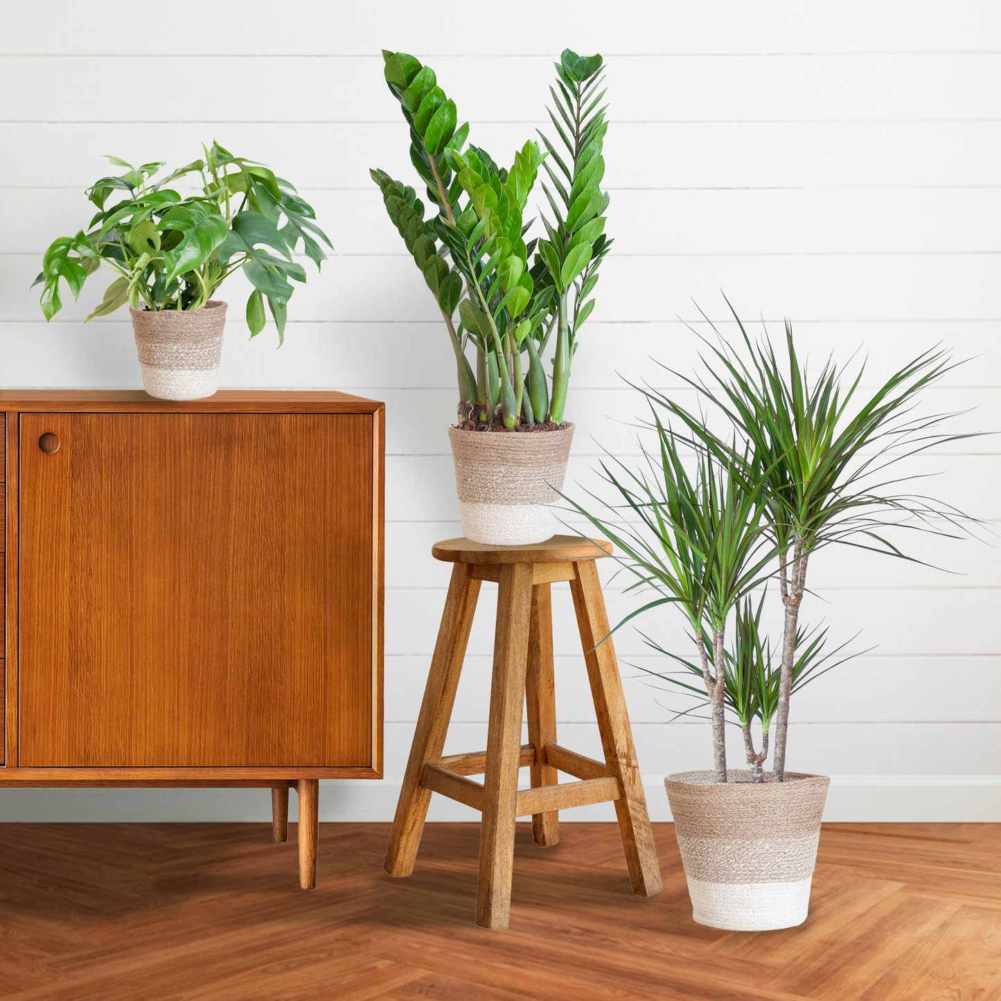Schaduw Plantenset - incl. manden