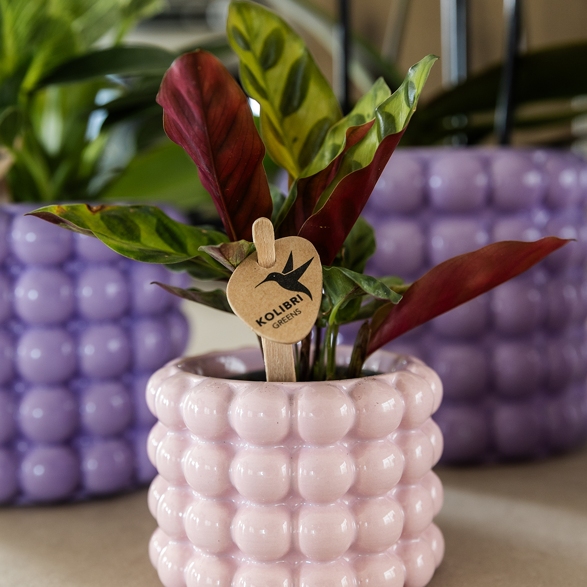 Kolibri Home | Poppy sierpot - Pink - Ø6cm