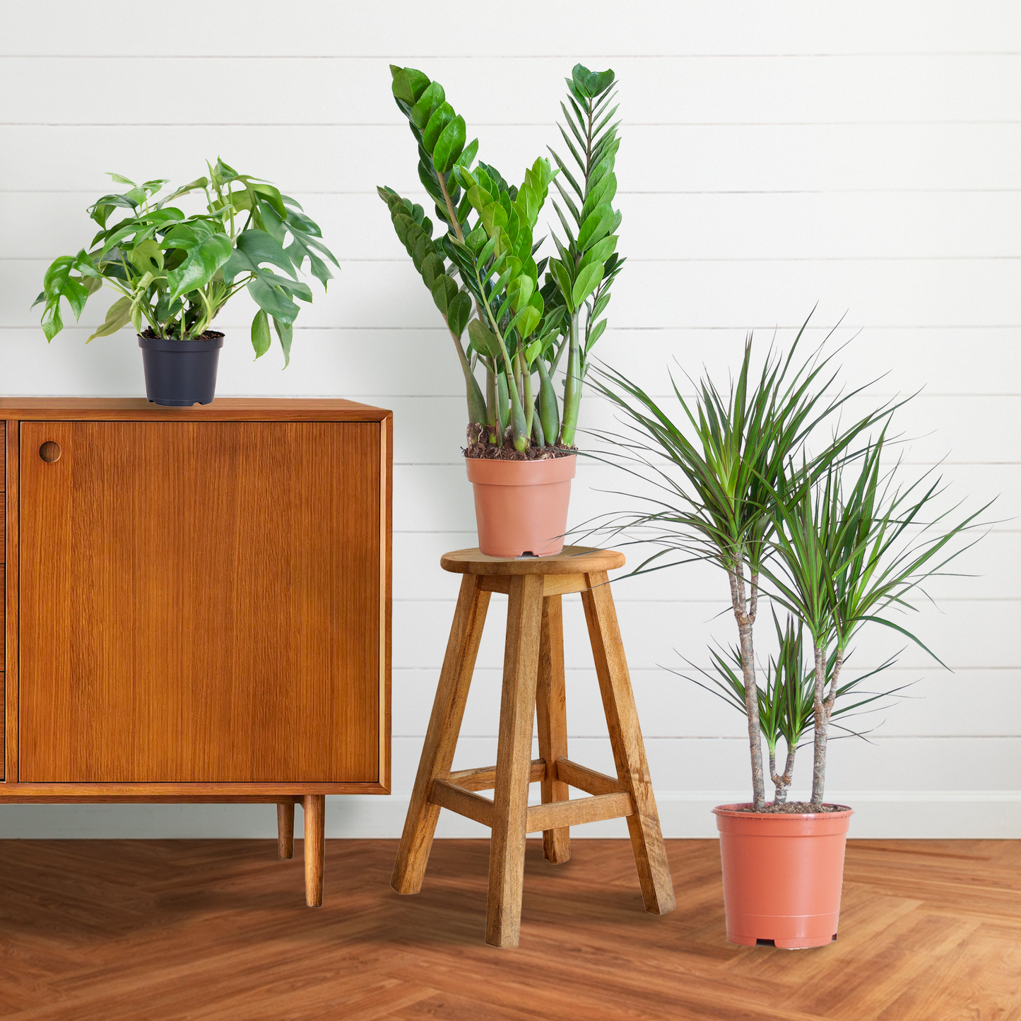 Schaduw Plantenset - Zonder sierpot