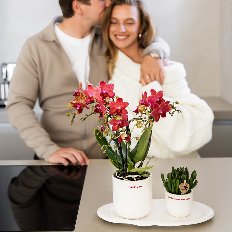 Kolibri Home | I love you sierpot - Ø9cm