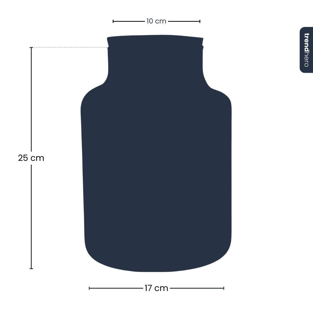 Frosty Kerstmis terrarium - Planten terrarium DIY kit Christmas - - Ø 17 cm ↑ 25 cm