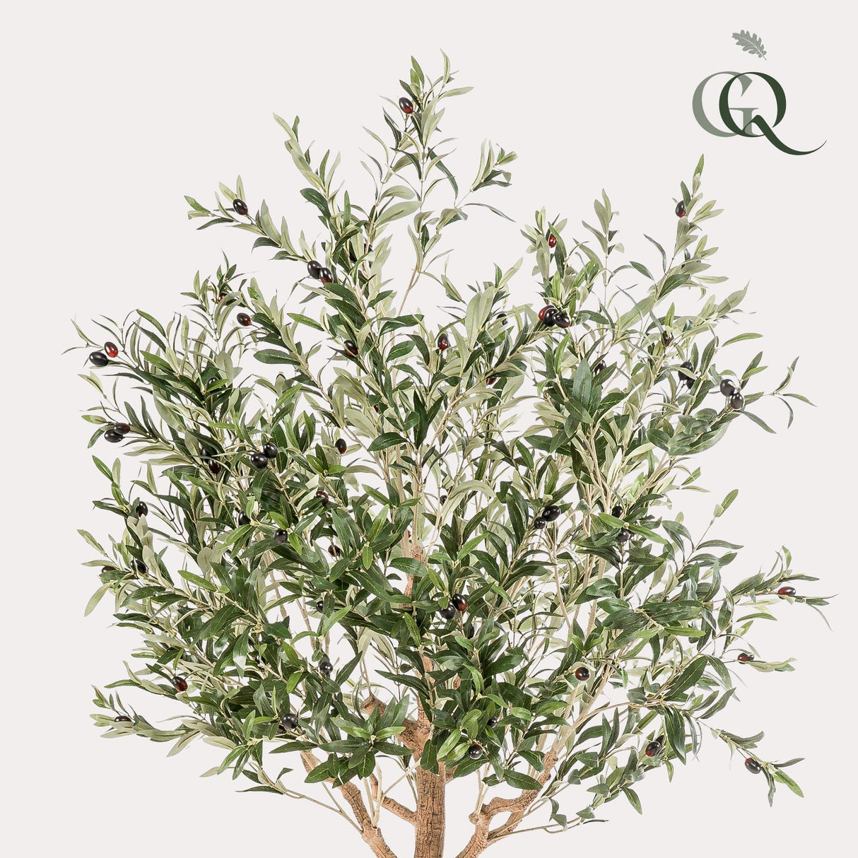 Kunst Olijfboom - Olea europaea - Olijfboom - 180 cm