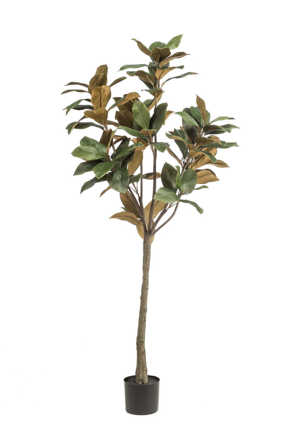 Kunstplant - Magnolia Grandiflora - 150 cm