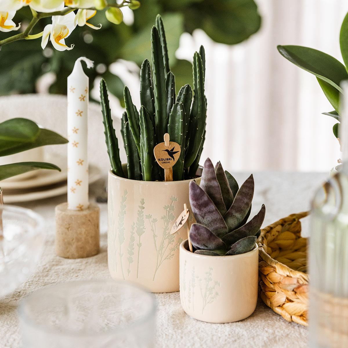 Kolibri Home | Floral bloempot - Light Blue - 9cm