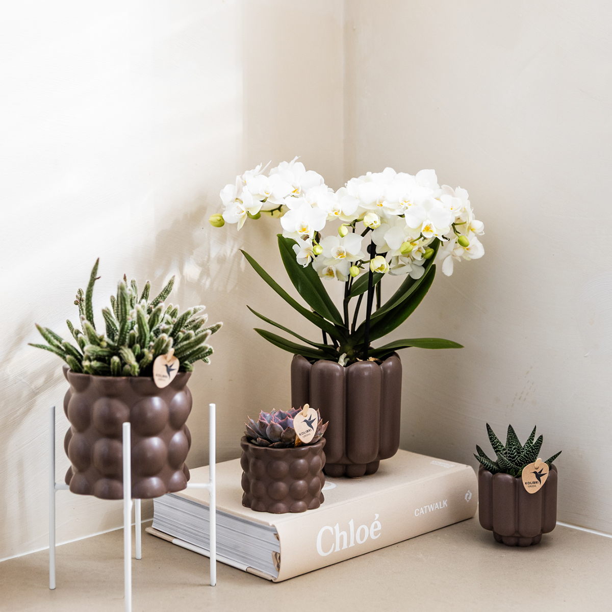 Kolibri Home | Retro sierpot - Brown - Ø6cm