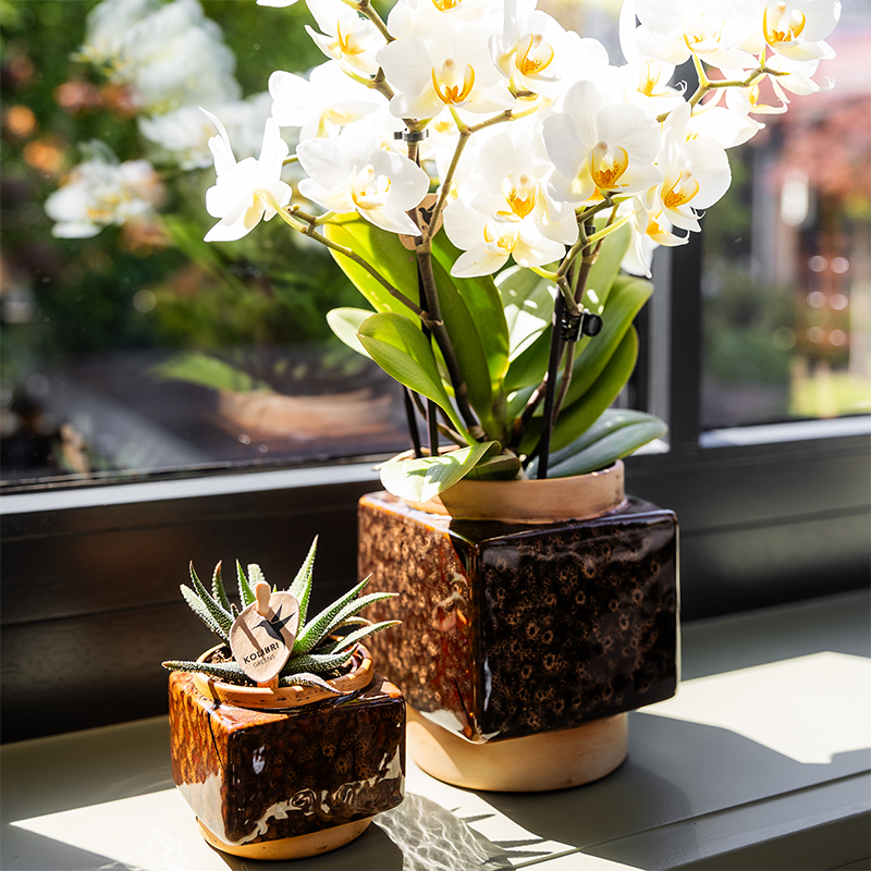 Kolibri Home | Classy Cube sierpot - Ø6cm