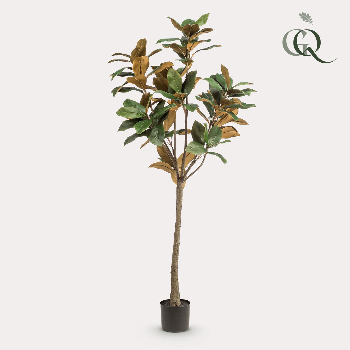 Kunstplant - Magnolia Grandiflora - 150 cm