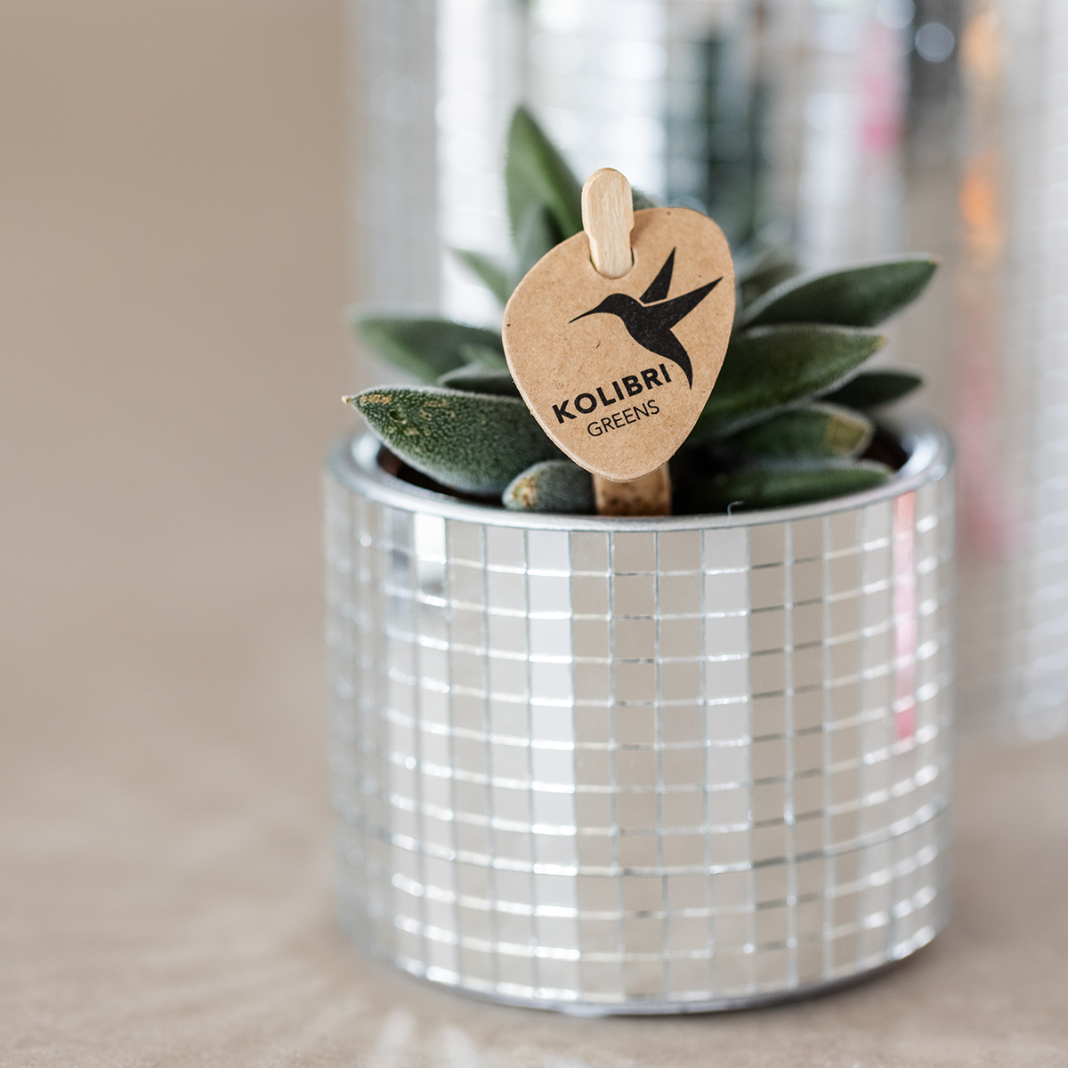 Kolibri Home | Disco sierpot - Ø6cm