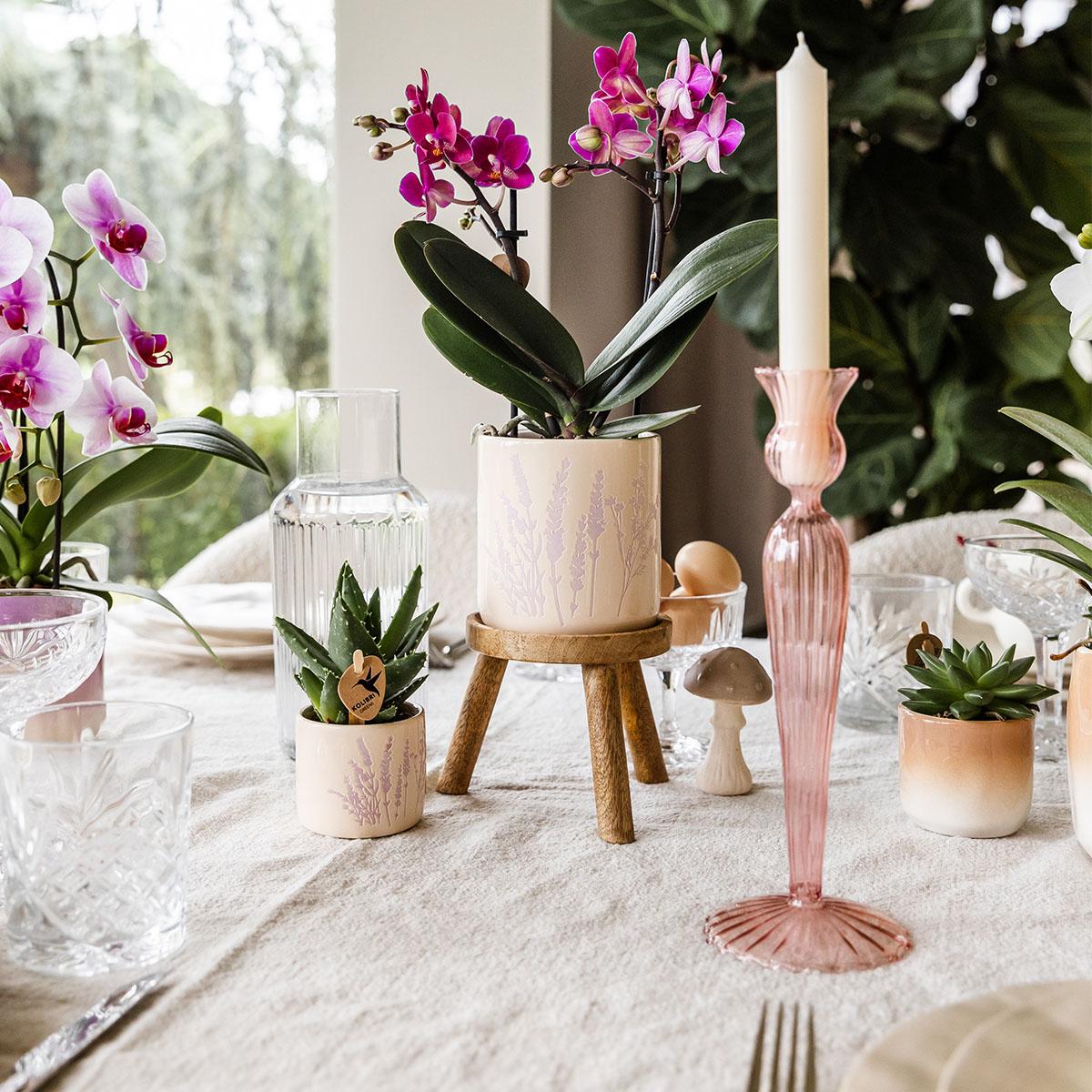 Kolibri Home | Floral bloempot - Lavendel - 9cm