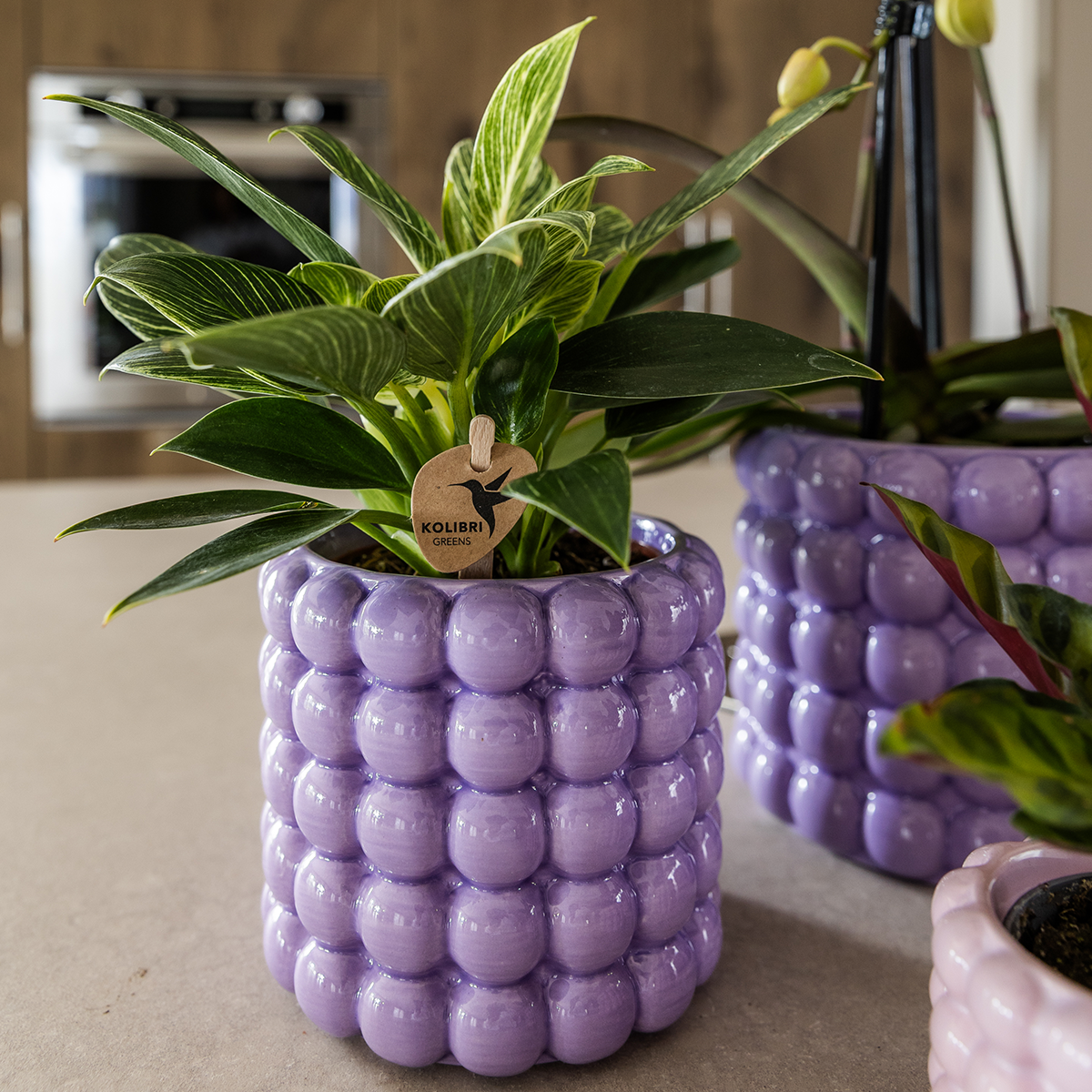 Kolibri Home | Poppy Dekotopf - Lila - Ø9cm