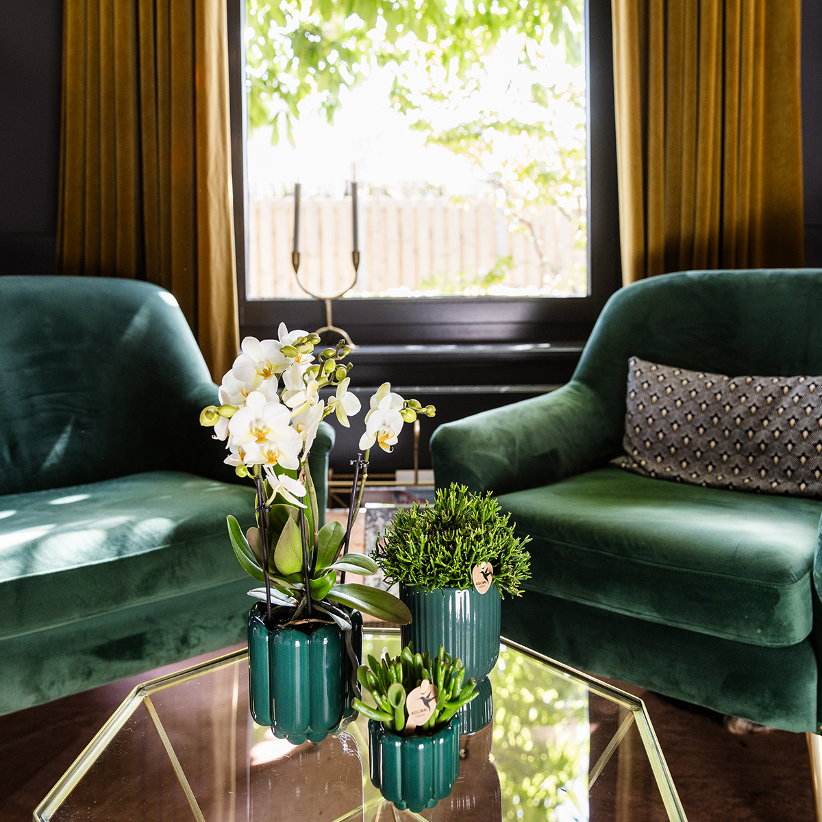 Kolibri Home | Diabolo sierpot | Ø9cm - Green