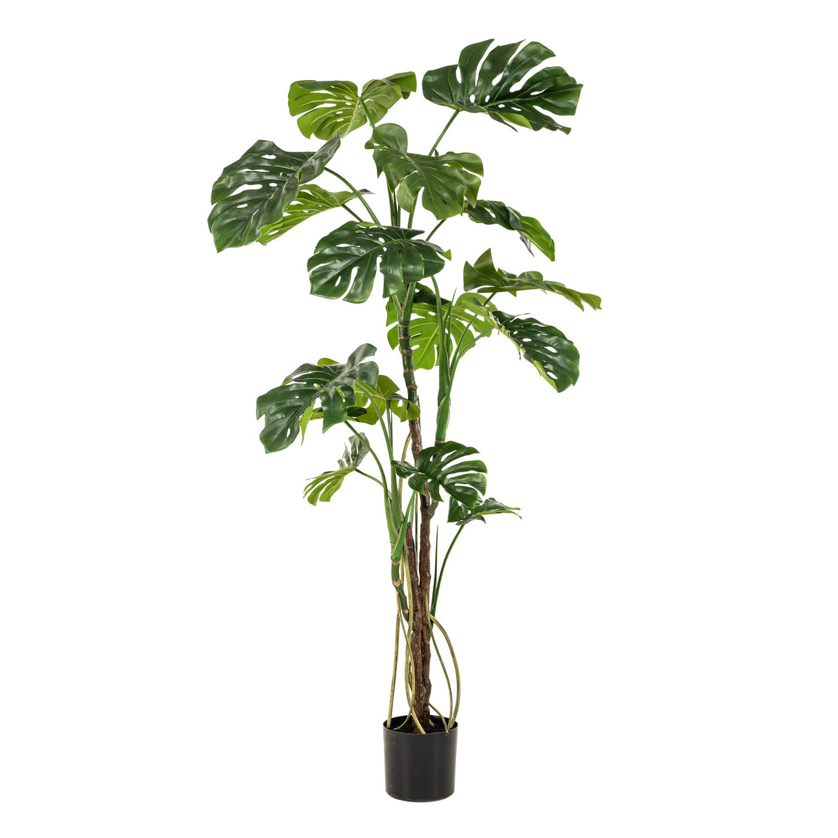 kunstplant - Monstera - Gatenplant - 180cm