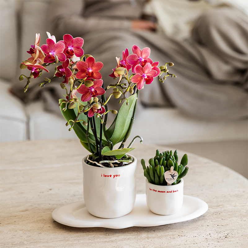 Kolibri Home | I love you sierpot - Ø6cm
