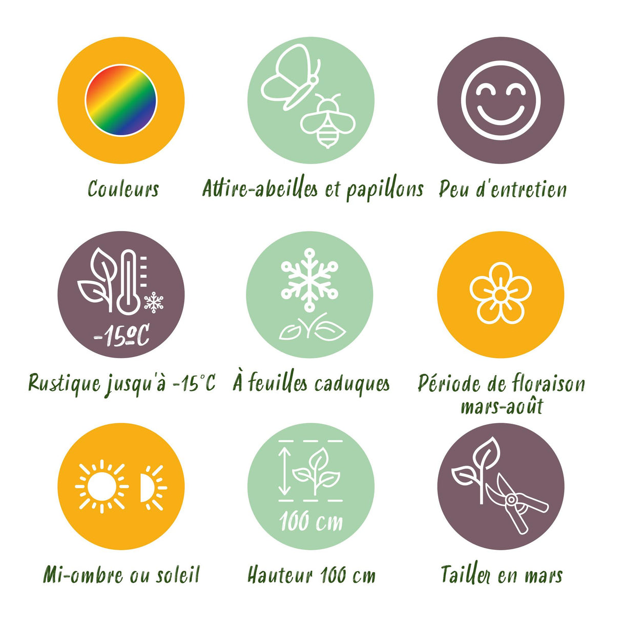 Borderpakket - Bijen en Vlinderlokkend - 24 Vaste planten - 3 m2 - Diversen kleuren - Weinig Onderhoud - Pot 11cm