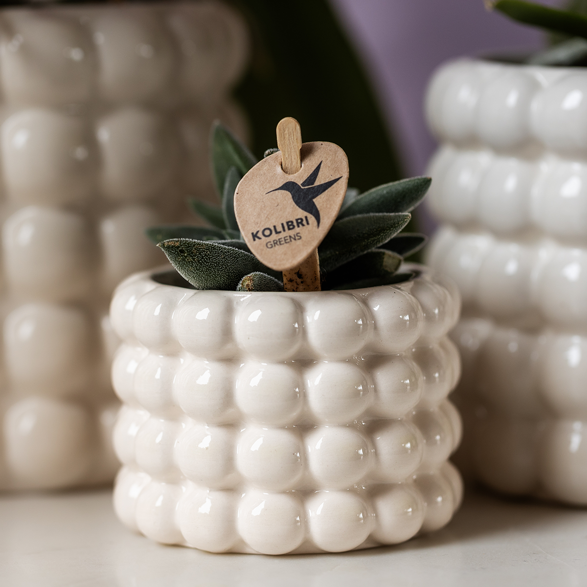 Kolibri Home | Poppy sierpot - White - Ø6cm