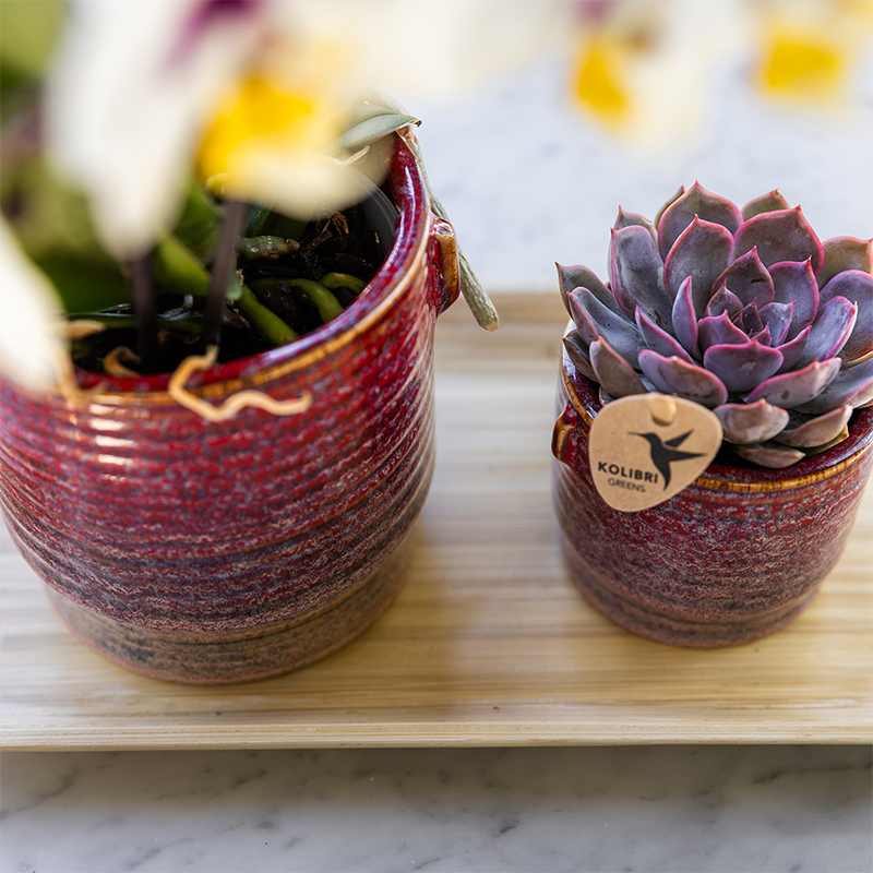 Kolibri Home | Aura sierpot - Ø6cm