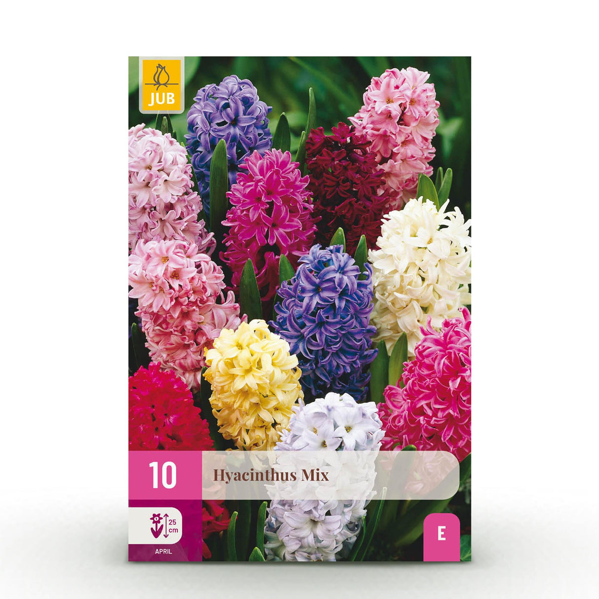 Green boutiQ - Bloembollen - Hyacinth mix - Diversen Kleuren - 10 stuks - Bolmaat 14/15 - XXL Pack
