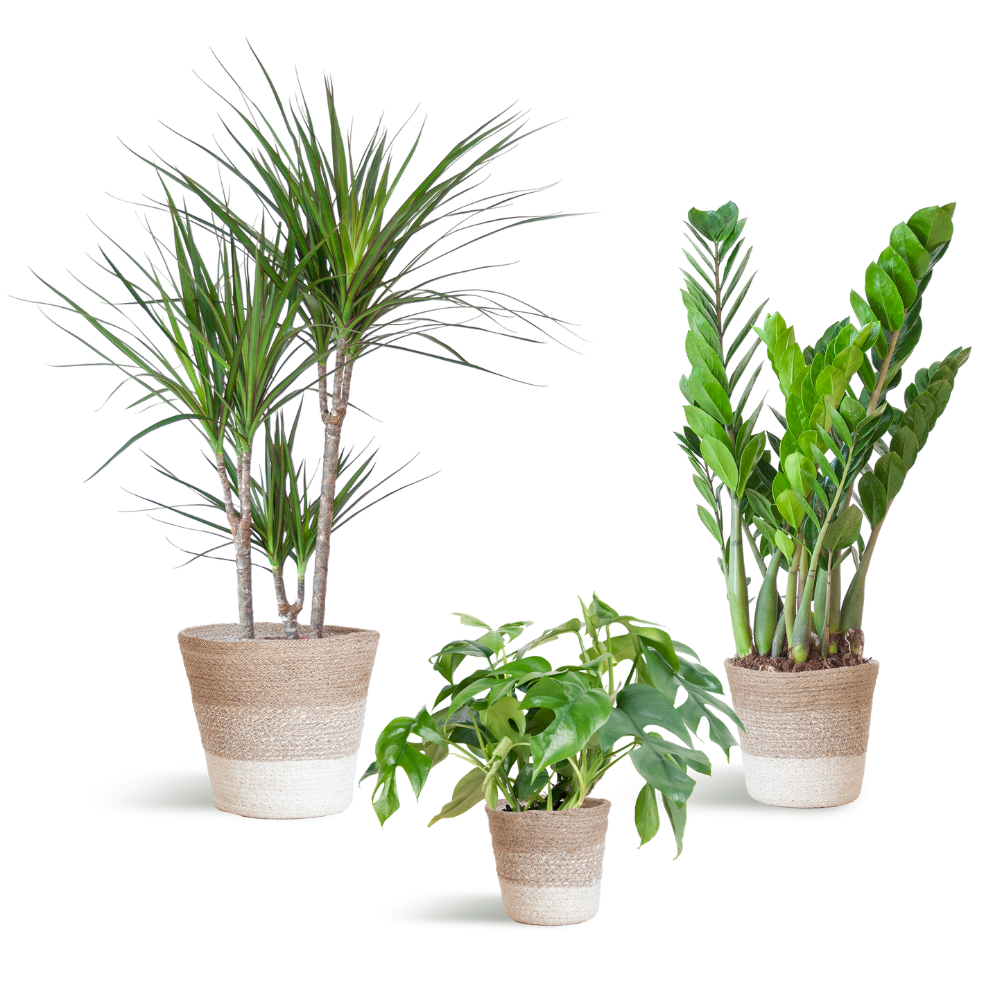 Schaduw Plantenset - incl. manden