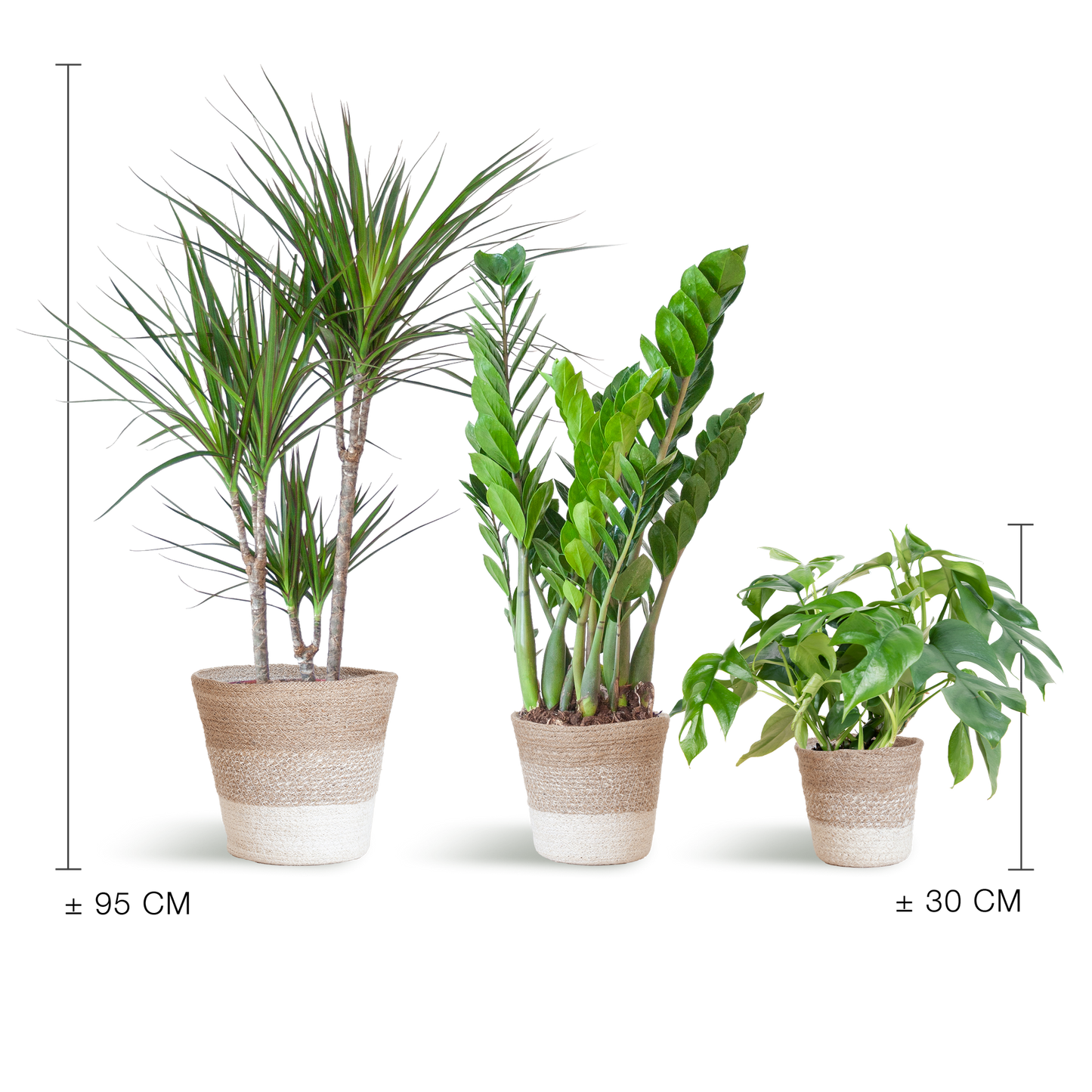 Schaduw Plantenset - incl. manden