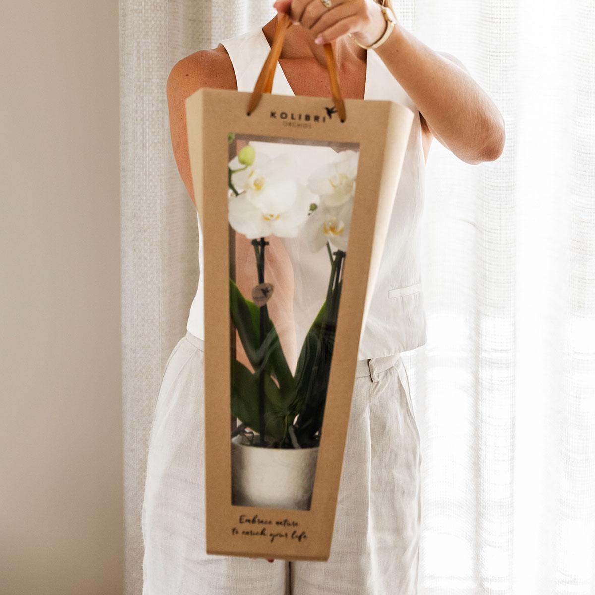 Kolibri Orchids | Planten cadeau beterschap | Lausanne orchidee met pot, kaart & cadeautas