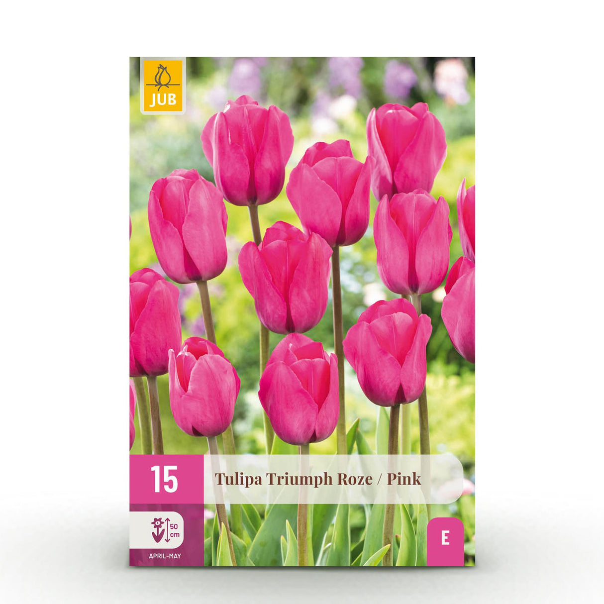 Green boutiQ - Bloembollen - Tulp Triumph Pink - Kleur Roze - 15 stuks - Bolmaat 11/12 - XXL Pack