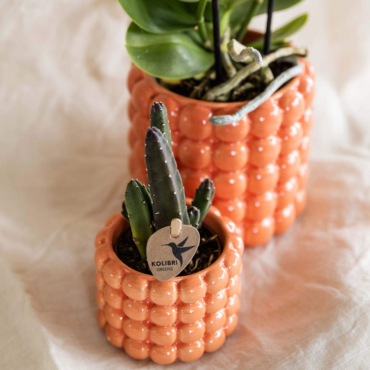 Kolibri Home | Poppy sierpot - Orange - Ø6cm