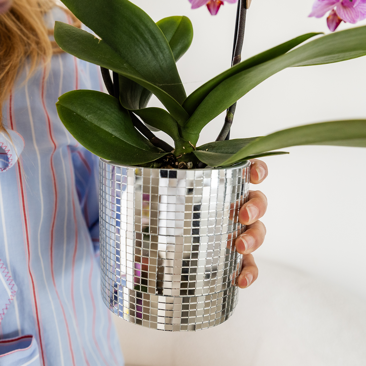 Kolibri Home | Disco sierpot - Ø9cm