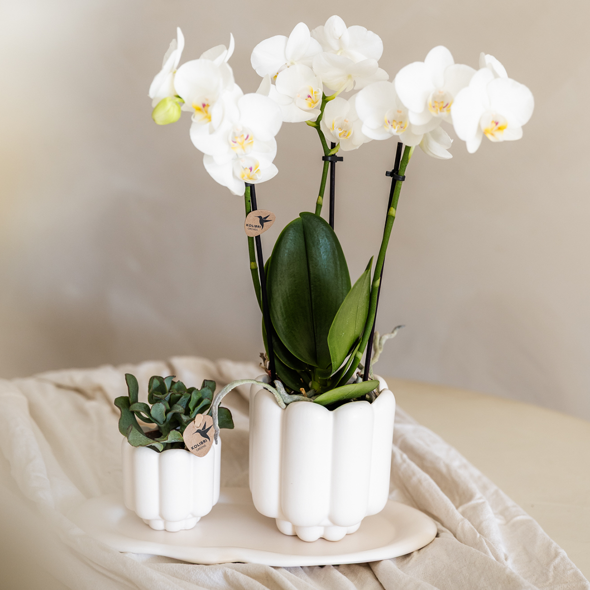 Kolibri Home | Retro sierpot - White - Ø9cm