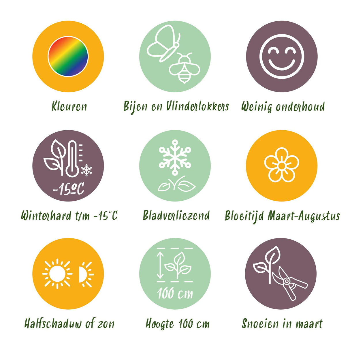 Borderpakket - Bijen en Vlinderlokkend - 24 Vaste planten - 3 m2 - Diversen kleuren - Weinig Onderhoud - Pot 11cm