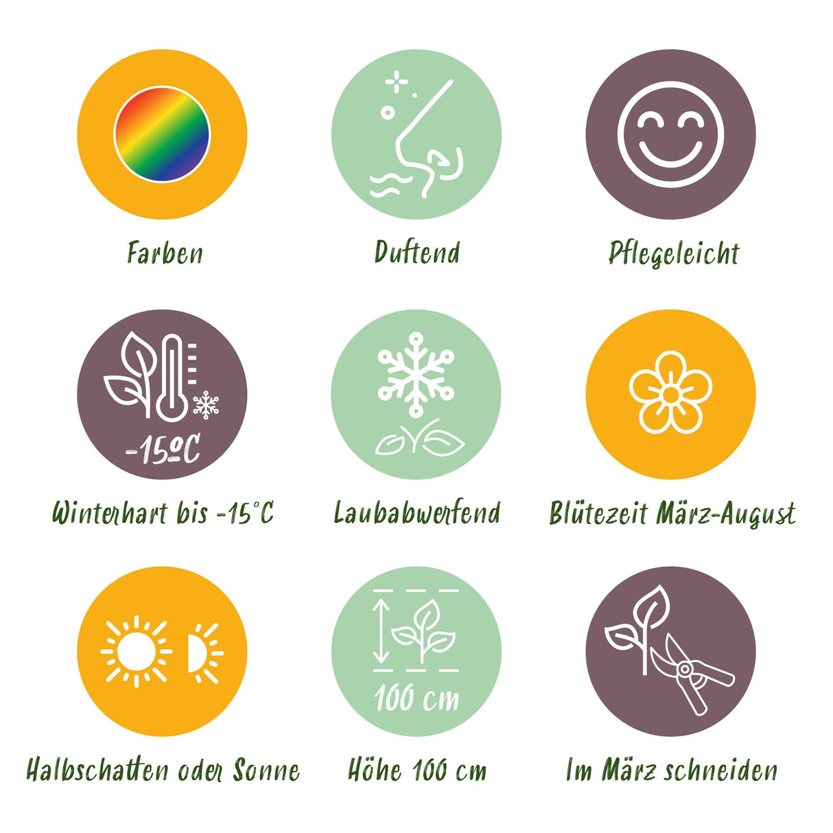 Borderpakket - Geurend - 24 Vaste planten - 3 m2 - Diversen kleuren - Weinig Onderhoud - Pot 11cm