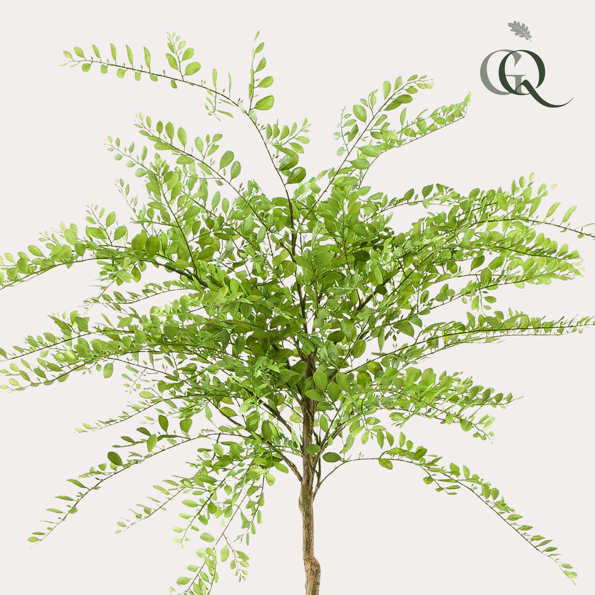 kunstplant - Sophora tree - Honingboom - 190cm