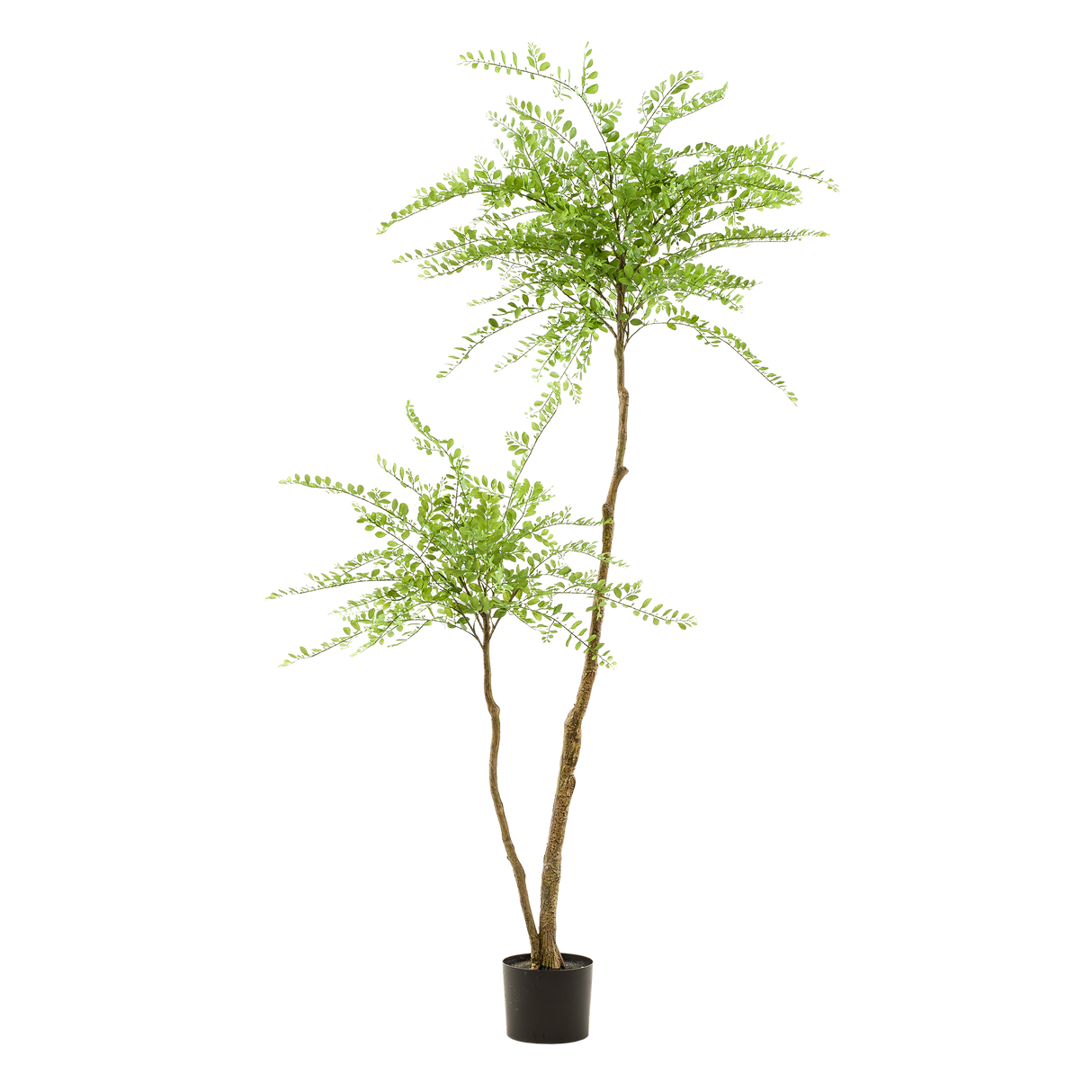 kunstplant - Sophora tree - Honingboom - 190cm