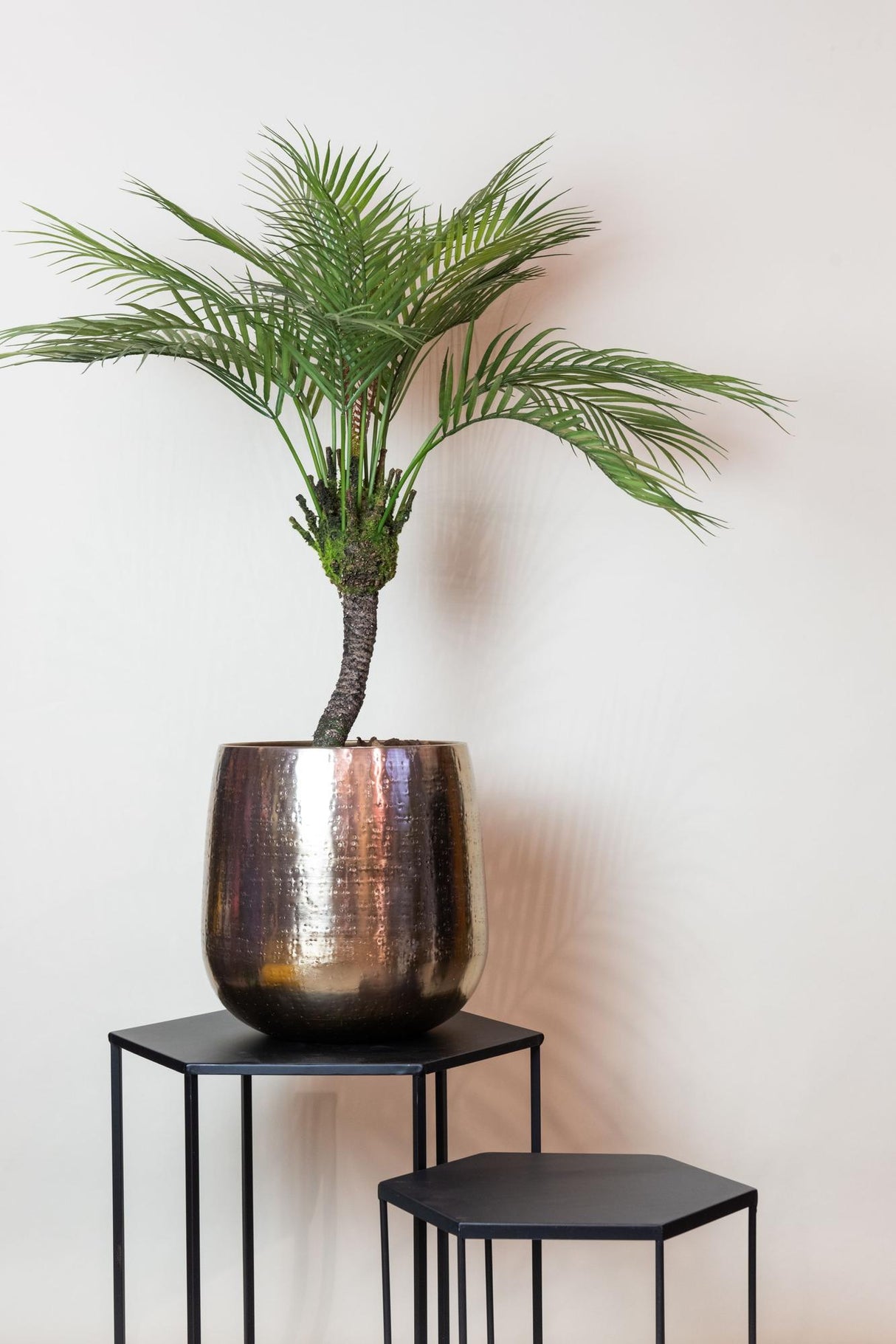 Kunstplant - Chamaedorea - Palmier de montagne - 85 cm