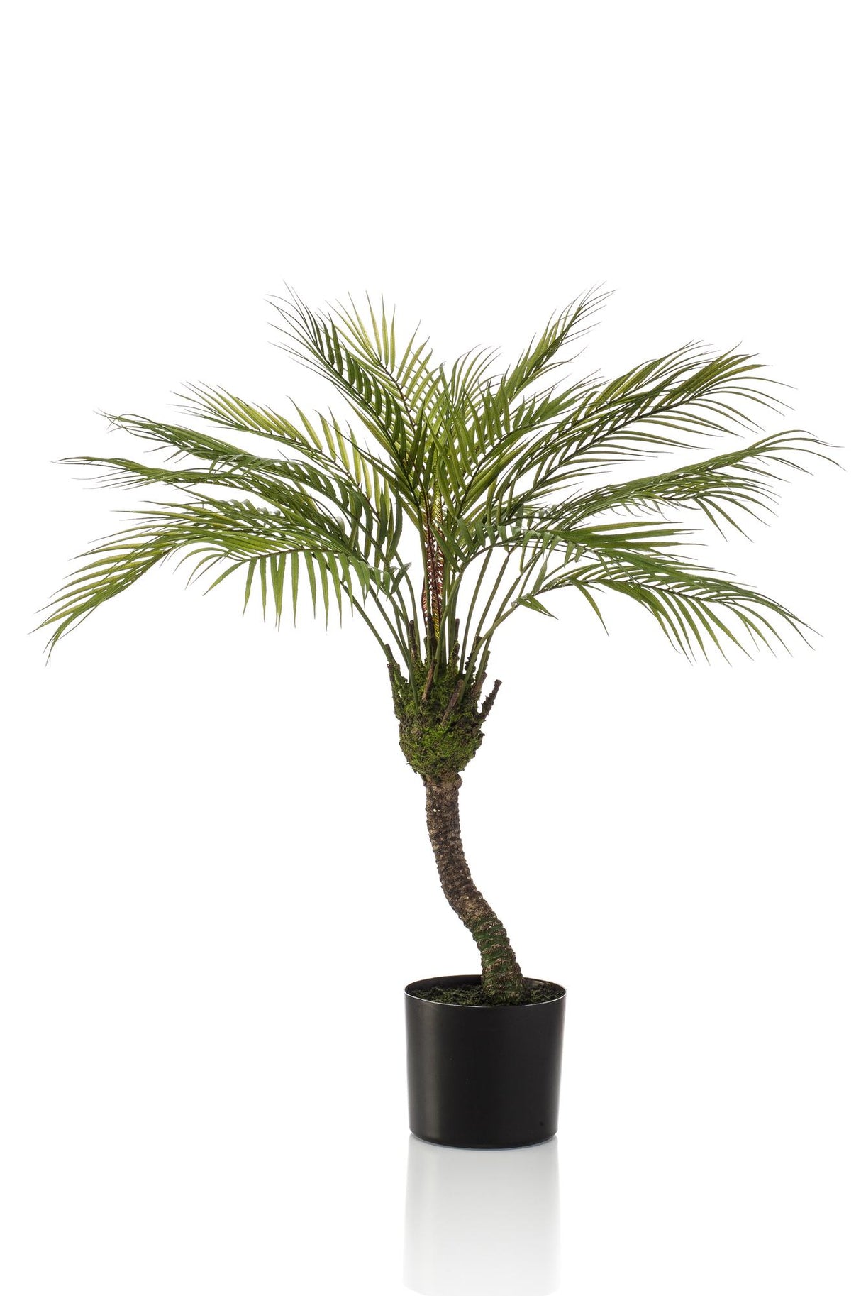 Kunstplant - Chamaedorea - Palmier de montagne - 85 cm