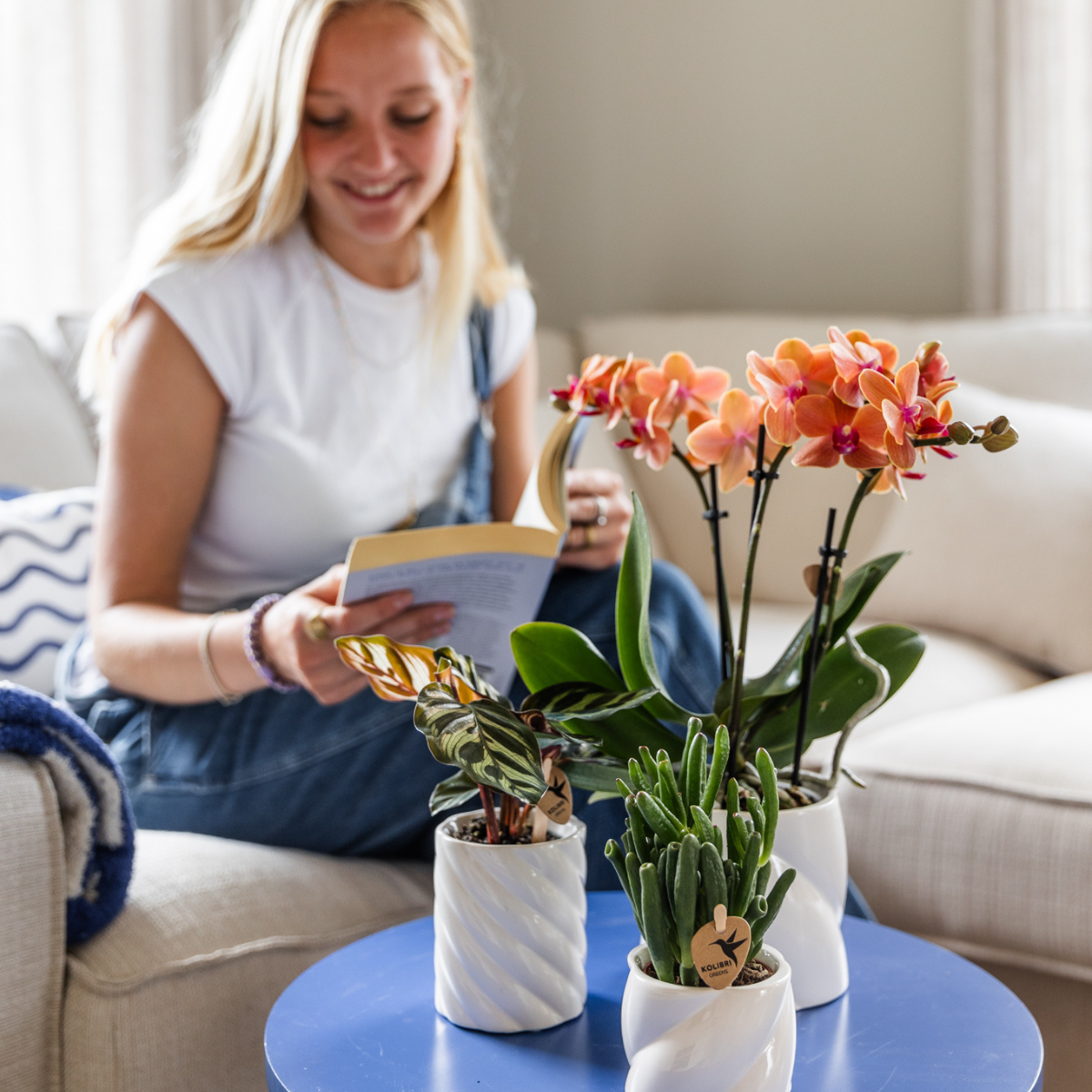 Kolibri Orchids | COMBI DEAL van 4 oranje Phalaenopsis orchideeën - Bolzano - potmaat Ø9cm | bloeiende kamerplant - vers van de kweker