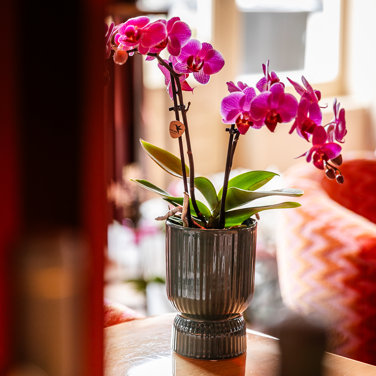 Kolibri Home | Diabolo sierpot | Ø9cm - Green