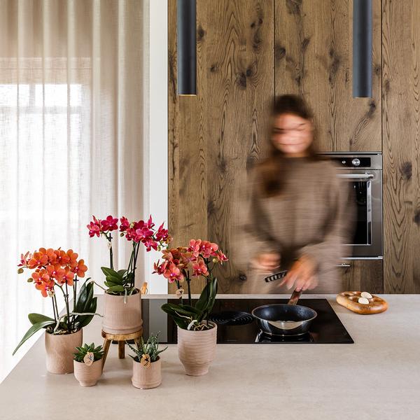 Bali sierpot - Sand - Ø9cm