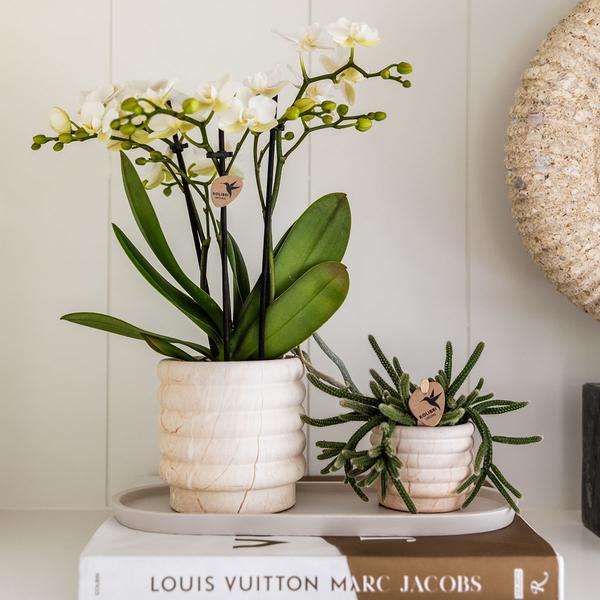 Kombi-Angebot - Marble Light Töpfe