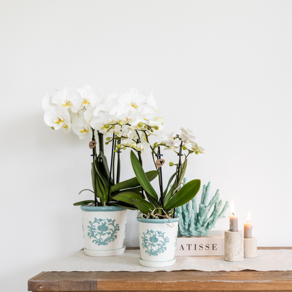 Malaga pot - Turquoise - Ø12cm