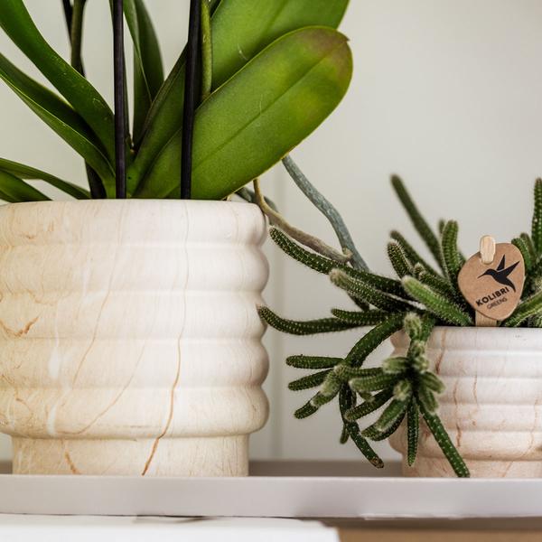Kombi-Angebot - Marble Light Töpfe