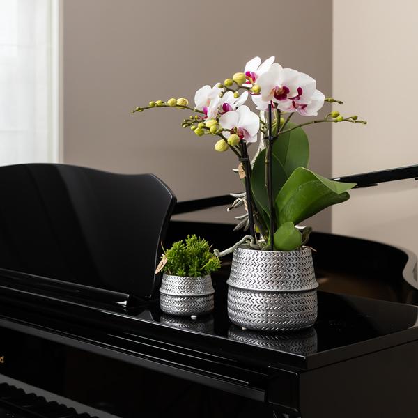 Kolibri Home | Groove Blumentopf - Goldener Keramik-Dekotopf - Ø12cm