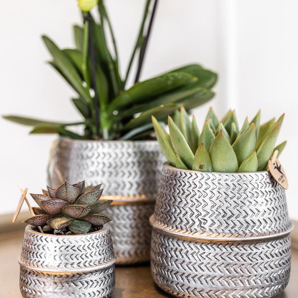 Kolibri Home | Groove Blumentopf - Goldener Keramik-Dekotopf - Ø12cm