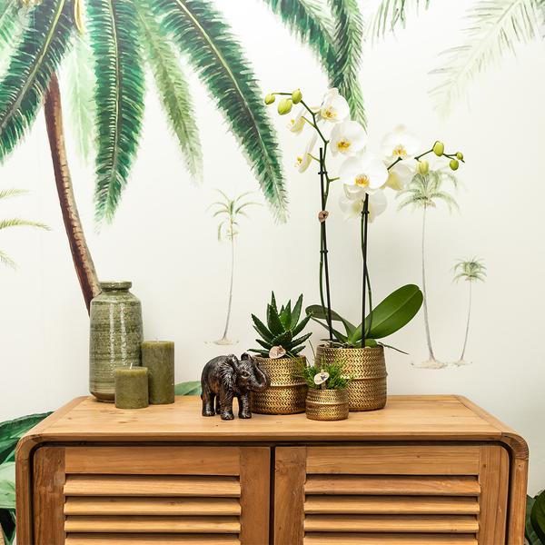 Kolibri Home | Groove Blumentopf - Goldener Keramik-Dekotopf - Topfgröße - Ø12cm