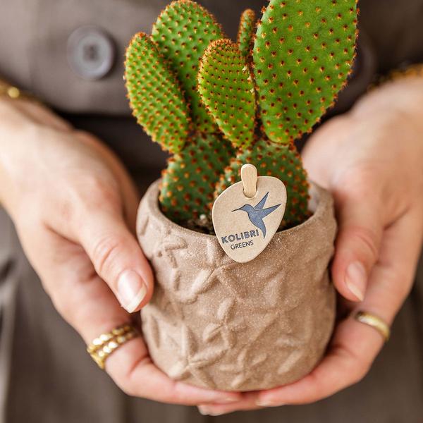 Star Fish sierpot - Sand - Ø6cm