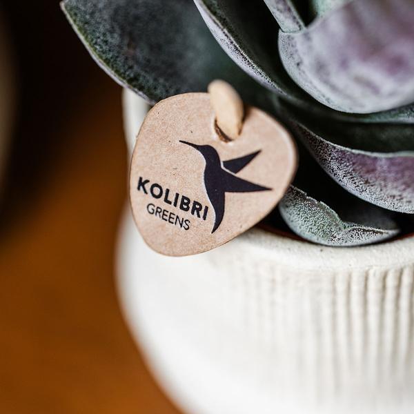 Bali sierpot - Off White - Ø9cm