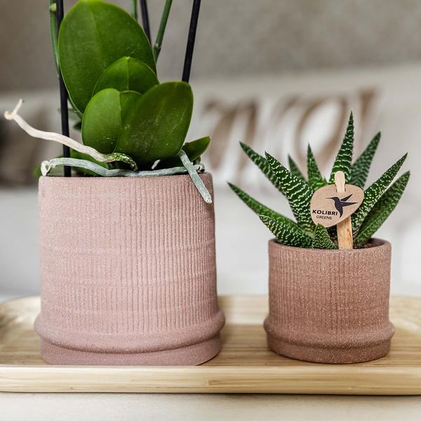 Bali sierpot - Sand - Ø9cm