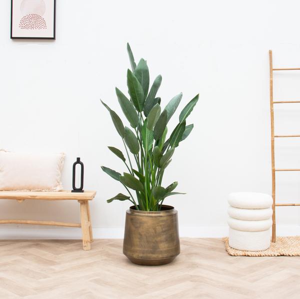 Pot Indigo Vintage - Goud - Ø33