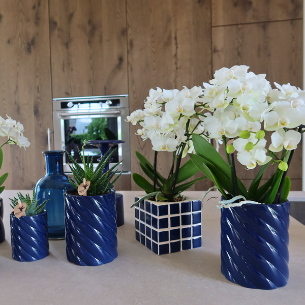 Kolibri Home | Candy Übertopf | Hoch - Blau - Ø6cm