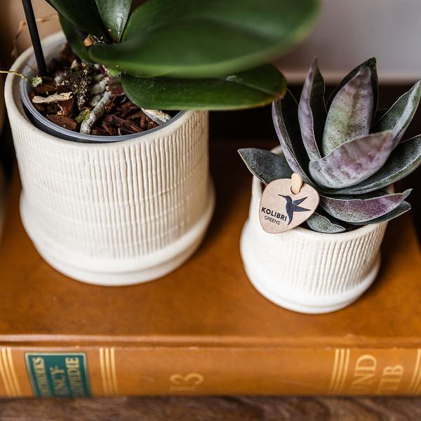 Bali sierpot - Off White - Ø9cm